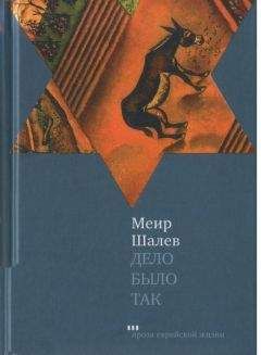 Меир Шалев - Дело было так - Читать 📖 Читать онлайн 👀 Читаемые книги читать онлайн бесплатно 🔥 booksread-online.com
