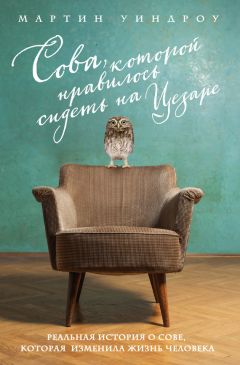 Мартин Уиндроу - Сова, которой нравилось сидеть на Цезаре - Читать 📖 Читать онлайн 👀 Читаемые книги читать онлайн бесплатно 🔥 booksread-online.com