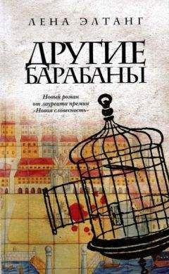 Лена Элтанг - Другие барабаны - Читать 📖 Читать онлайн 👀 Читаемые книги читать онлайн бесплатно 🔥 booksread-online.com