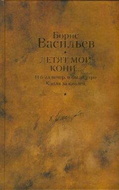 Борис Васильев - И был вечер, и было утро. Капля за каплей. Летят мои кони - Читать | Читать онлайн | Читаемые книги читать онлайн бесплатно | booksread-online.com