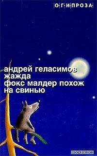 Андрей Геласимов - Фокс Малдер похож на свинью - Читать 📖 Читать онлайн 👀 Читаемые книги читать онлайн бесплатно 🔥 booksread-online.com