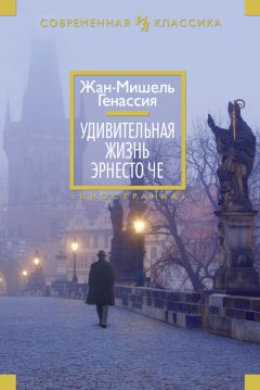 Жан-Мишель Генассия - Удивительная жизнь Эрнесто Че - Читать | Читать онлайн | Читаемые книги читать онлайн бесплатно | booksread-online.com