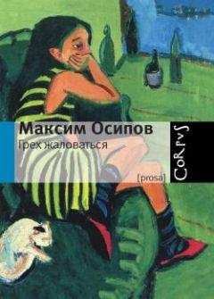 Максим Осипов - Грех жаловаться - Читать 📖 Читать онлайн 👀 Читаемые книги читать онлайн бесплатно 🔥 booksread-online.com
