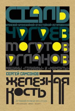 Сергей Самсонов - Железная кость - Читать 📖 Читать онлайн 👀 Читаемые книги читать онлайн бесплатно 🔥 booksread-online.com