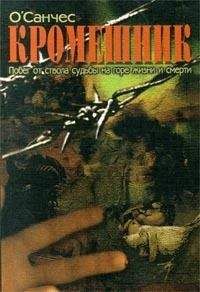О`Санчес - Кромешник. Книга 2 - Читать 📖 Читать онлайн 👀 Читаемые книги читать онлайн бесплатно 🔥 booksread-online.com