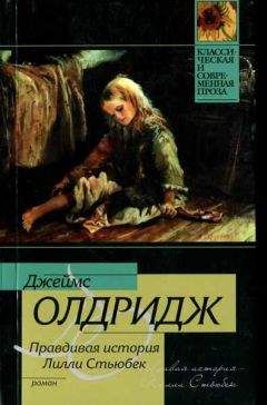 Джеймс Олдридж - Правдивая история Лилли Стьюбек - Читать 📖 Читать онлайн 👀 Читаемые книги читать онлайн бесплатно 🔥 booksread-online.com