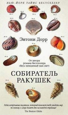 Энтони Дорр - Собиратель ракушек - Читать 📖 Читать онлайн 👀 Читаемые книги читать онлайн бесплатно 🔥 booksread-online.com