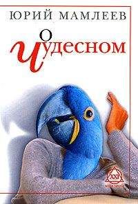 Юрий Мамлеев - О чудесном (сборник) - Читать 📖 Читать онлайн 👀 Читаемые книги читать онлайн бесплатно 🔥 booksread-online.com