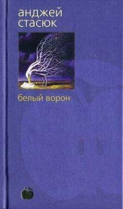 Анджей Стасюк - Белый ворон - Читать | Читать онлайн | Читаемые книги читать онлайн бесплатно | booksread-online.com