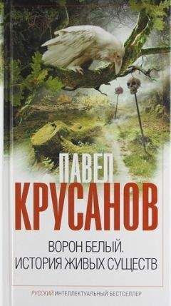 Павел Крусанов - Ворон белый. История живых существ - Читать 📖 Читать онлайн 👀 Читаемые книги читать онлайн бесплатно 🔥 booksread-online.com
