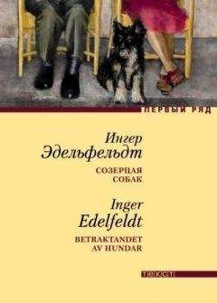 Ингер Эдельфельдт - Созерцая собак - Читать 📖 Читать онлайн 👀 Читаемые книги читать онлайн бесплатно 🔥 booksread-online.com