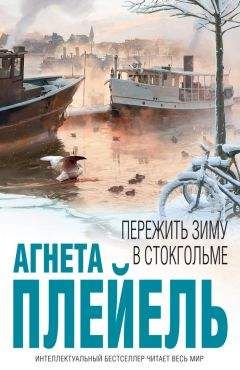 Агнета Плейель - Пережить зиму в Стокгольме - Читать 📖 Читать онлайн 👀 Читаемые книги читать онлайн бесплатно 🔥 booksread-online.com