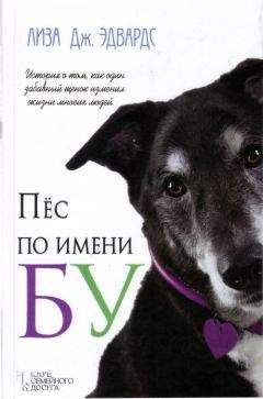Лиза Эдвардс - Пес по имени Бу - Читать Читать онлайн Читаемые книги читать онлайн бесплатно booksread-online.com