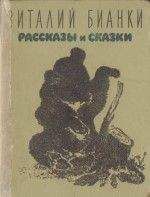 Виталий Бианки - Рассказы и сказки с иллюстрациями - Читать 📖 Читать онлайн 👀 Читаемые книги читать онлайн бесплатно 🔥 booksread-online.com