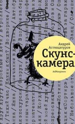 Андрей Аствацатуров - Скунскамера - Читать | Читать онлайн | Читаемые книги читать онлайн бесплатно | booksread-online.com