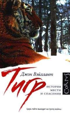 Джон Вэйллант - Тигр. История мести и спасения - Читать Читать онлайн Читаемые книги читать онлайн бесплатно booksread-online.com