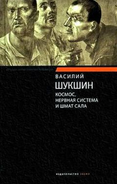 Василий Шукшин - Космос, нервная система и шмат сала - Читать 📖 Читать онлайн 👀 Читаемые книги читать онлайн бесплатно 🔥 booksread-online.com