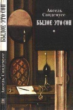 Аксель Сандемусе - Былое — это сон - Читать | Читать онлайн | Читаемые книги читать онлайн бесплатно | booksread-online.com