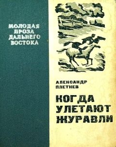 Александр Плетнев - Когда улетают журавли - Читать Читать онлайн Читаемые книги читать онлайн бесплатно booksread-online.com