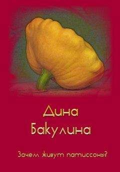 Дина Бакулина - Зачем живут патиссоны? - Читать 📖 Читать онлайн 👀 Читаемые книги читать онлайн бесплатно 🔥 booksread-online.com