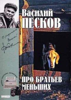 Василий Песков - Полное собрание сочинений. Том 19. Про братьев меньших - Читать 📖 Читать онлайн 👀 Читаемые книги читать онлайн бесплатно 🔥 booksread-online.com