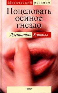 Джонатан Кэрролл - Поцеловать осиное гнездо - Читать 📖 Читать онлайн 👀 Читаемые книги читать онлайн бесплатно 🔥 booksread-online.com