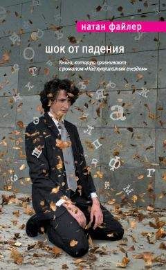Натан Файлер - Шок от падения - Читать онлайн Читаемые книги бесплатно booksread-online.com