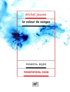 Мишель Жуве - Похититель снов - Читать Читать онлайн Читаемые книги читать онлайн бесплатно booksread-online.com