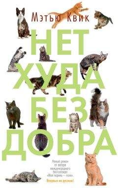Мэтью Квик - Нет худа без добра - Читать Читать онлайн Читаемые книги читать онлайн бесплатно booksread-online.com