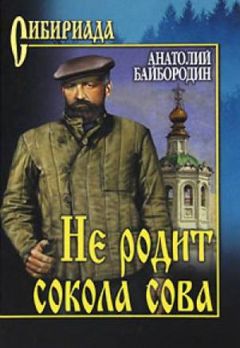 Анатолий Байбородин - Не родит сокола сова - Читать 📖 Читать онлайн 👀 Читаемые книги читать онлайн бесплатно 🔥 booksread-online.com