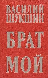 Василий Шукшин - Брат мой... - Читать 📖 Читать онлайн 👀 Читаемые книги читать онлайн бесплатно 🔥 booksread-online.com