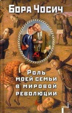 Бора Чосич - Наставники - Читать | Читать онлайн | Читаемые книги читать онлайн бесплатно | booksread-online.com