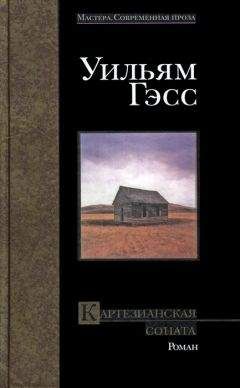 Уильям Гэсс - Картезианская соната - Читать онлайн Читаемые книги бесплатно booksread-online.com