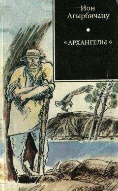 Ион Агырбичану - «Архангелы» - Читать | Читать онлайн | Читаемые книги читать онлайн бесплатно | booksread-online.com