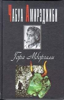 Чабуа Амирэджиби - Гора Мборгали - Читать 📖 Читать онлайн 👀 Читаемые книги читать онлайн бесплатно 🔥 booksread-online.com