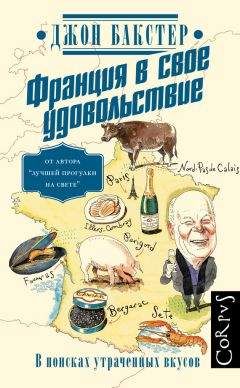 Джон Бакстер - Франция в свое удовольствие. В поисках утраченных вкусов - Читать | Читать онлайн | Читаемые книги читать онлайн бесплатно | booksread-online.com