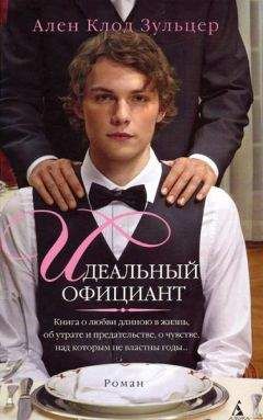 Ален Зульцер - Идеальный официант - Читать онлайн Читаемые книги бесплатно booksread-online.com