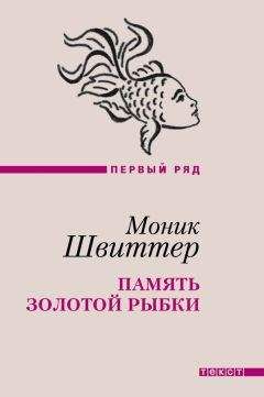 Моник Швиттер - Память золотой рыбки - Читать онлайн Читаемые книги бесплатно booksread-online.com