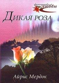 Айрис Мэрдок - Дикая роза - Читать | Читать онлайн | Читаемые книги читать онлайн бесплатно | booksread-online.com