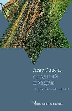 Асар Эппель - Сладкий воздух и другие рассказы - Читать 📖 Читать онлайн 👀 Читаемые книги читать онлайн бесплатно 🔥 booksread-online.com