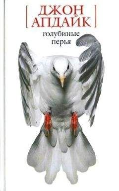 Джон Апдайк - Докторша - Читать 📖 Читать онлайн 👀 Читаемые книги читать онлайн бесплатно 🔥 booksread-online.com
