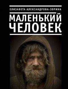 Елизавета Александрова-Зорина - Маленький человек - Читать 📖 Читать онлайн 👀 Читаемые книги читать онлайн бесплатно 🔥 booksread-online.com