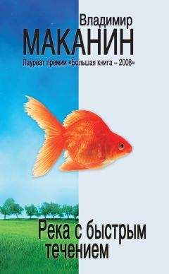 Владимир Маканин - Река с быстрым течением - Читать 📖 Читать онлайн 👀 Читаемые книги читать онлайн бесплатно 🔥 booksread-online.com