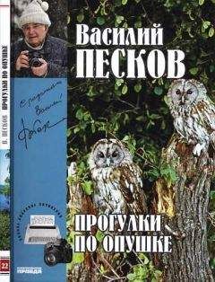 Василий Песков - Полное собрание сочинений. Том 22. Прогулки по опушке - Читать 📖 Читать онлайн 👀 Читаемые книги читать онлайн бесплатно 🔥 booksread-online.com