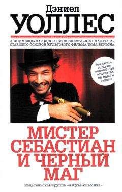 Дэниел Уоллес - Мистер Себастиан и черный маг - Читать 📖 Читать онлайн 👀 Читаемые книги читать онлайн бесплатно 🔥 booksread-online.com