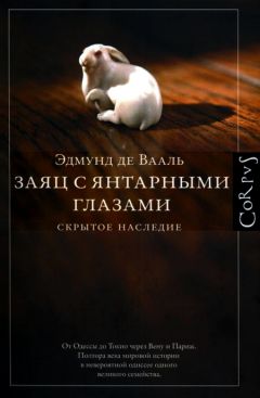 Эдмунд Вааль - Заяц с янтарными глазами: скрытое наследие - Читать онлайн Читаемые книги бесплатно booksread-online.com