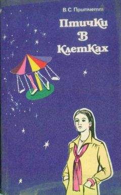 Виктор Притчетт - Птички в клетках (сборник рассказов) - Читать онлайн Читаемые книги бесплатно booksread-online.com