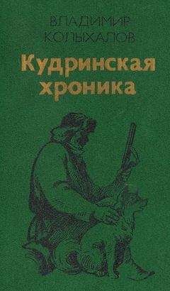 Владимир Колыхалов - Кудринская хроника - Читать онлайн Читаемые книги бесплатно booksread-online.com