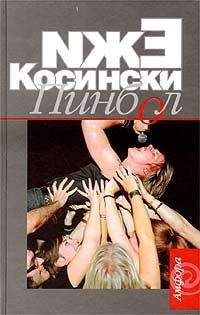 Ежи Косински - Пинбол - Читать 📖 Читать онлайн 👀 Читаемые книги читать онлайн бесплатно 🔥 booksread-online.com