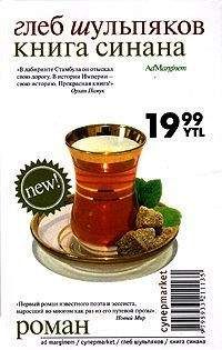Глеб Шульпяков - Книга Синана - Читать 📖 Читать онлайн 👀 Читаемые книги читать онлайн бесплатно 🔥 booksread-online.com